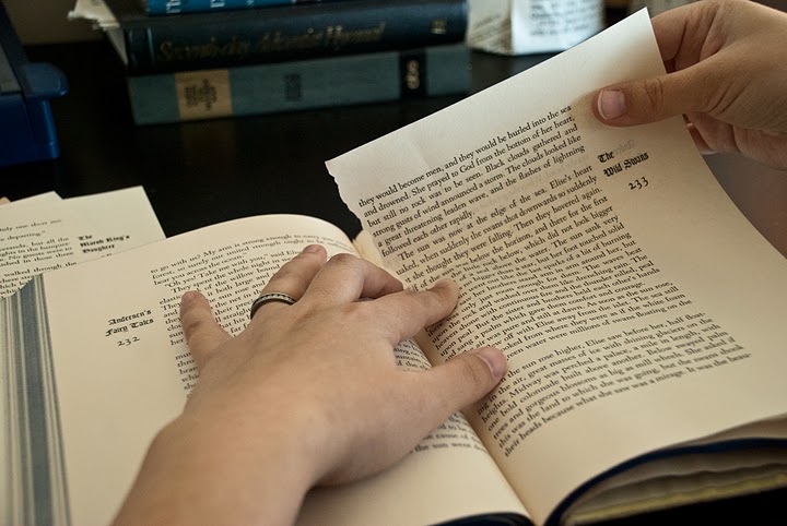 O que significa "to take a leaf out of someone's book" em inglês? - inFlux
